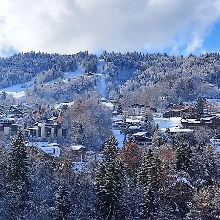 Apartment Le Martagon-2 By Interhome Saint-Gervais-les-Bains